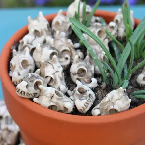 Mini Skull Head Decoration, Miniature Bone Statues, Outdoor Garden Skull Accessories, Halloween Decoration, Home Decor, Garden Sculptures Statues