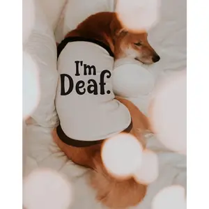 Custom I'm Deaf I'm Blind I'm Anxious Dog Raglan Shirt