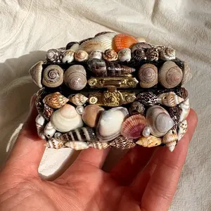 Treasures of the tide
