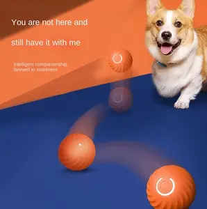 Gravity Bouncer ball dog toy Bite resistant ball automatic dog teaser Self fun pet electric cat toy Electric Automatic