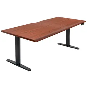 Mount-It! Dual Motor Electric Standing Desk with 72" Tabletop - Black Base