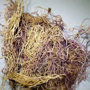 Organic Wildcrafted Honduran Sea Moss