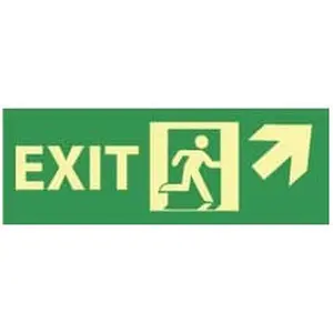 AccuformNMC Plastic Glow-in-the-Dark Exit Sign, 14" Wide x 5" High Work Safety Equipment Sign, Model GL312R