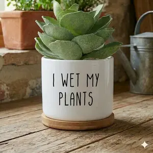 Funny Succulent Planter Pot “I Wet My Plants”, Cute Ceramic Flower Pot with Drainage Tray, Small Indoor Plant Pot for Desk Home Office Decor Gift
