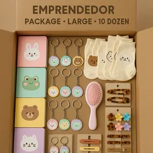 EMPRENDEDOR LARGE PACKAGE - 10 Dozens Mixed Wholesale Includes Keychains Socks Hair Brush Notebooks Pens & 5 Random Fashion Accessories Cartoon Characters Style May Vary