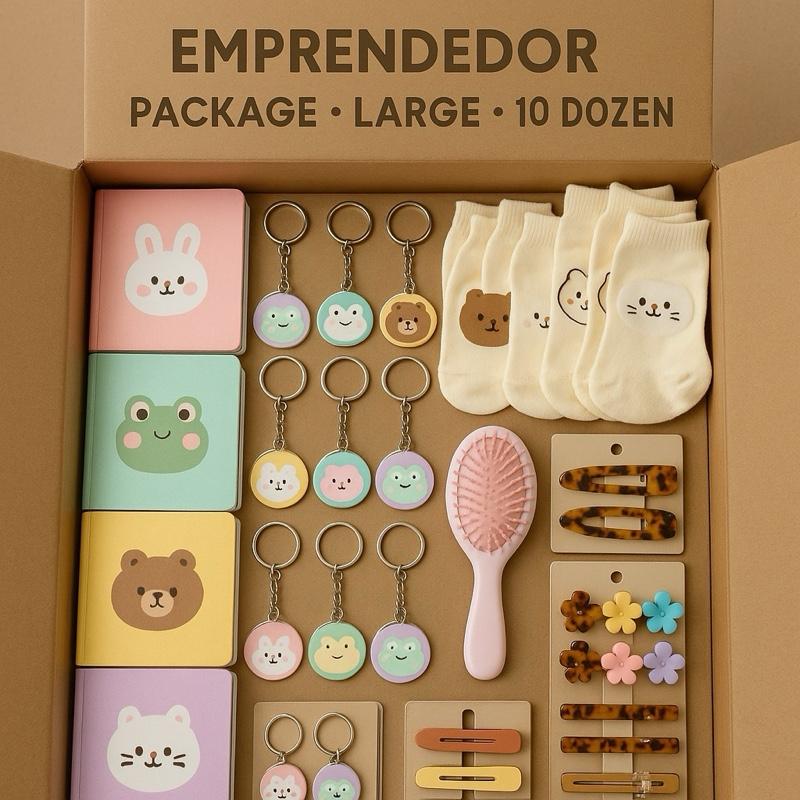 EMPRENDEDOR LARGE PACKAGE - 10 Dozens Mixed Wholesale Includes Keychains Socks Hair Brush Notebooks Pens & 5 Random Fashion Accessories Cartoon Characters Style May Vary