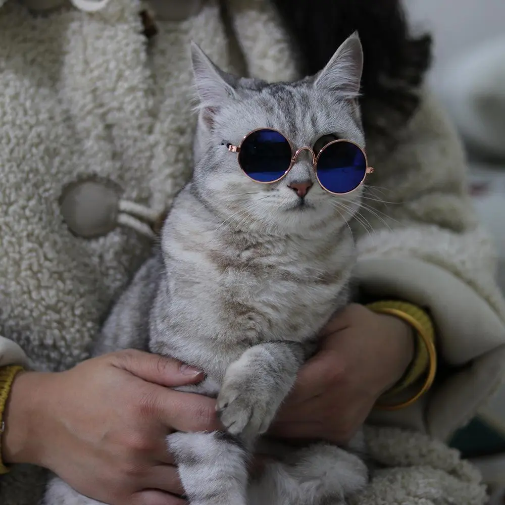 Fashion Eye Glasses for Cats, Kittens, Kitty, Retro Circular Cool Sunglasses, Pet Costume Supplies, Round Frame Glasses Photo Props for Small Medium Pets Kids Boys Girls