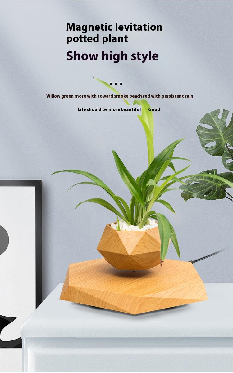 Cool Magnetic Levitating Plant Pot, 360° Rotating Floating Flower Pot with Wooden Texture Base, Unique Home & Office Desk Accessory