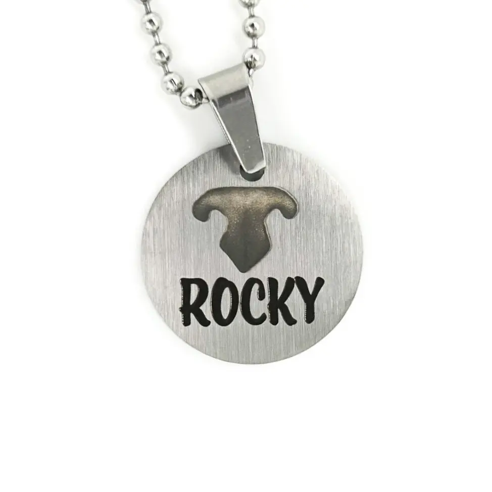 MCFJ Engraving Studio Stainless Pet Memorial Pendant with 24' Chain