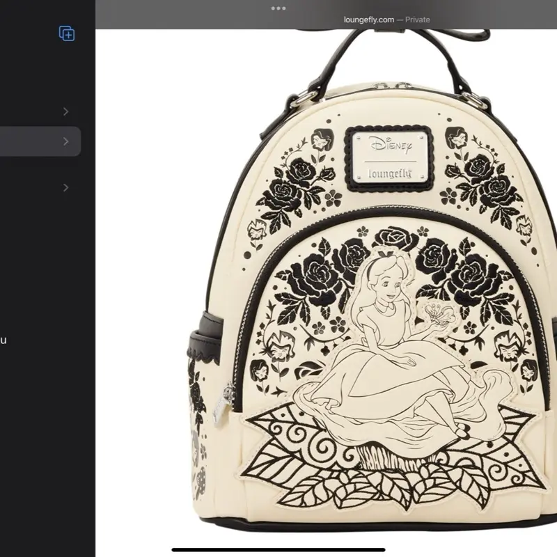 Beautiful backpack