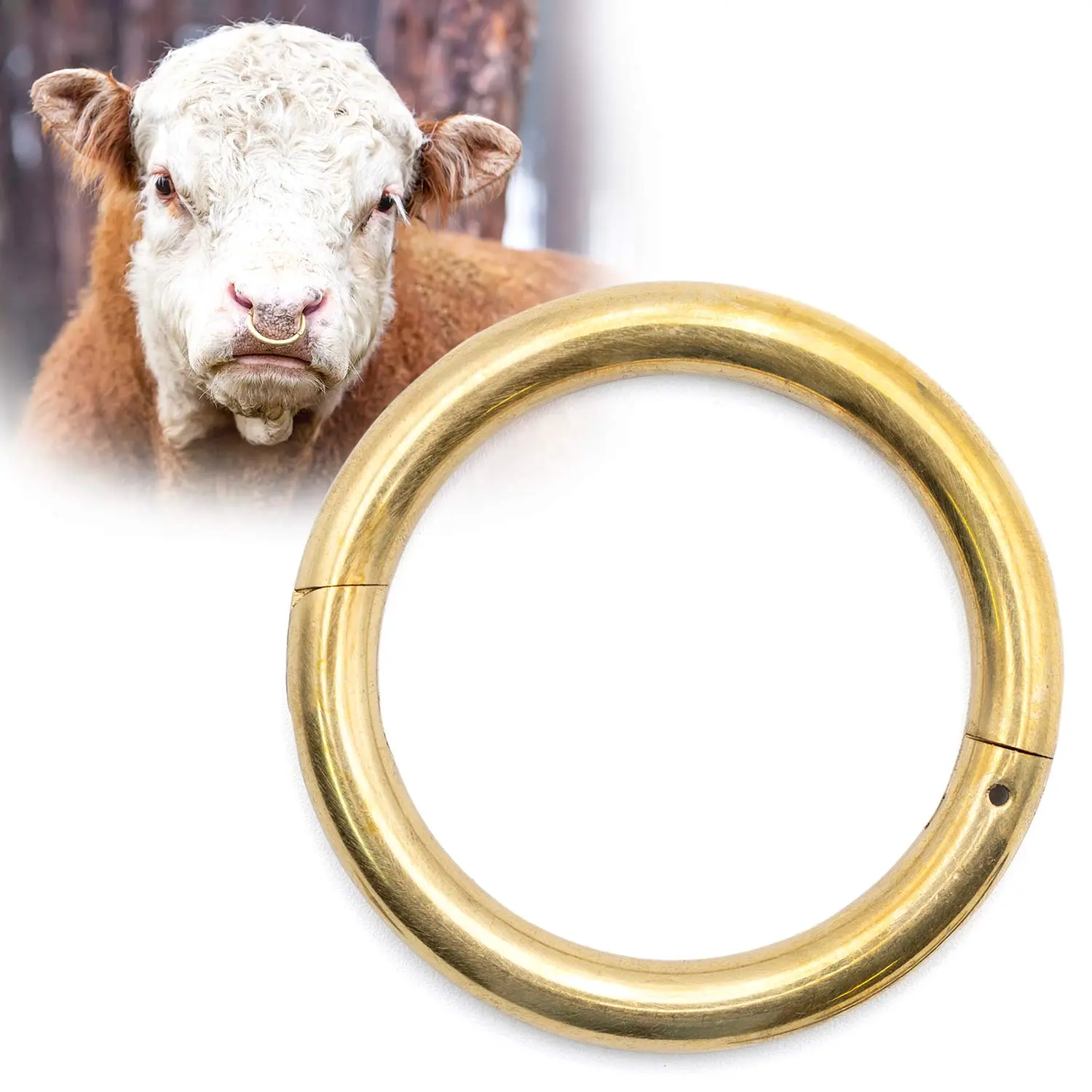 Sturdy Metal Jeffers Bull Ring with Screws - Heavy-Duty Livestock Nose Ring Hardware, Easier Installation, High Pressure Resistance, Secure Stable Fit, Improves Handling Efficiency for Ranch Operators, Agricultural Environments