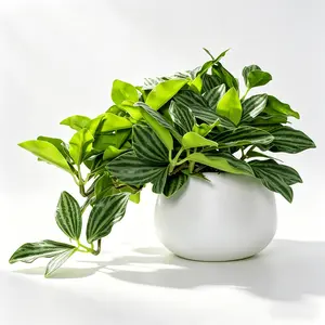 Artificial Plant Fake Watermelon-leaf Peperomia in A White Pot, Lifelike Artificial Plant with Trailing Leaves,low-maintenance, Ideal for Home, Office, Restaurant and Garden Decor, Suitable for Spring and Summer Home and Outdoor Decor