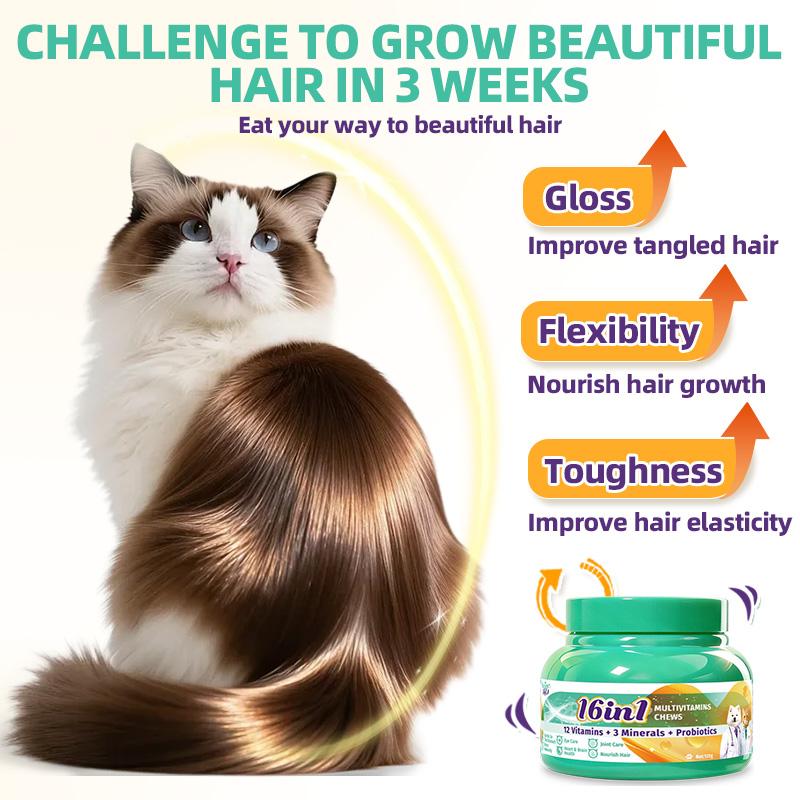 Hegenpet 16-in-1 Multivitamin Heart-Shaped Chews forDogs & Cats - Visible Hair Growth, Shiny Coat & Joint Care -Immunity Boost (120g)