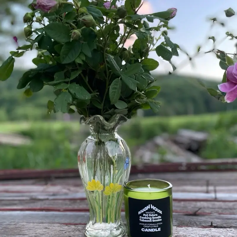Rough House Candles Odor Eliminating - 10 Ounces Soy Wax Citrus Scented Green Vessel 4x3 Inches Long Burn Time Natural Safe