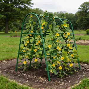 Shape Metal Garden Trellis for Raised Beds, Rust-Resistant Vertical Arch for Vegetables & Vines, Green Heavy Duty Plant Support, Outdoor Weatherproof, No-Tool Setup