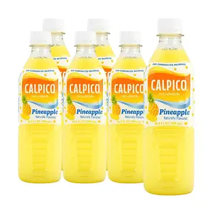 CALPICO Japanese Lactic Acid Drink Pineapple Flavor 500ml 6-Pack - Refreshing Non-Carbonated Beverage
