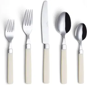 ANNOVA 20 Pieces Stainless Steel Flatware/Cutlery Set - Color Handles - 4 x Dinner Forks, 4 x Salad Forks, 4 x Dinner Knives, 4 x Dinner Spoons, 4 x Dessert Spoons - Service for 4 (Cream, 20 Pieces)