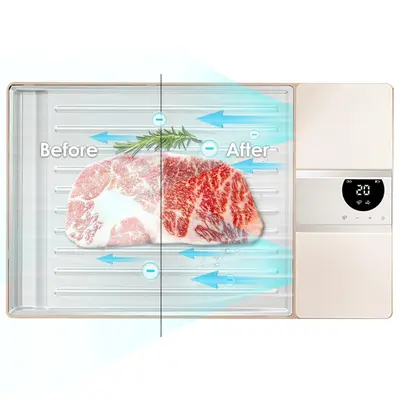 How to Thaw Ground Beef Microwave TikTok Shop