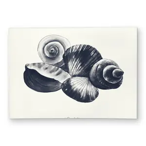 360 stand 5x7 ft Rectangle Coastal Indoor/Outdoor Rug - Blue Seashell Print Face, Coastal Look, Durable Household Textile Home Decor Carpet