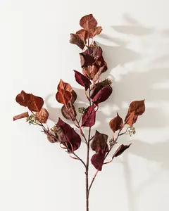 Burgundy Silver Dollar Eucalyptus Stem