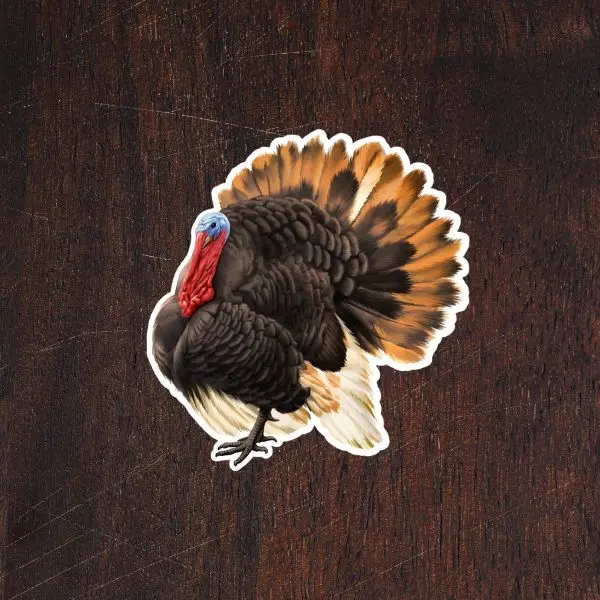 Wild Turkey Gobbler Sticker, Realistic Turkey Hunting Decal, Hunter Wildlife Vinyl Sticker, Outdoor Hunting Gift