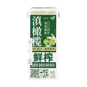New Hope Organic Amla Juice - Freshly Squeezed NFC, 250g - Refreshing & Degreasing, No Additives, Yunnan Specialty