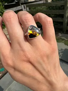Montana Agate with New Zealand Abalone (Size 6.25-6.75)