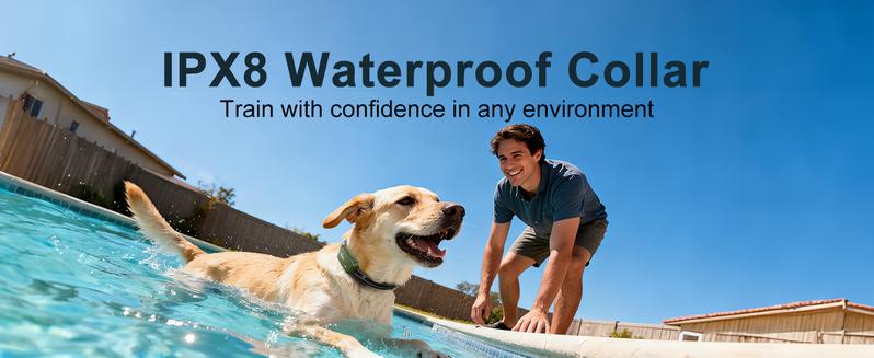 Jugbow Dog Training Collar - 4500FT with Remote, 4 Training Modes, Security Lock, IPX8 Waterproof, Rechargeable e-Collar for All Breeds DT61 Outdoor