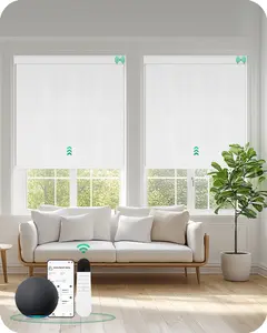 Allesin Motorized Blinds with Remote Smart Blackout Roller Shades | All-in-One & Ultra-Quiet Automatic Electric Power Blinds for Home Office, Cloud-Patterned