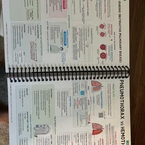 review image 8