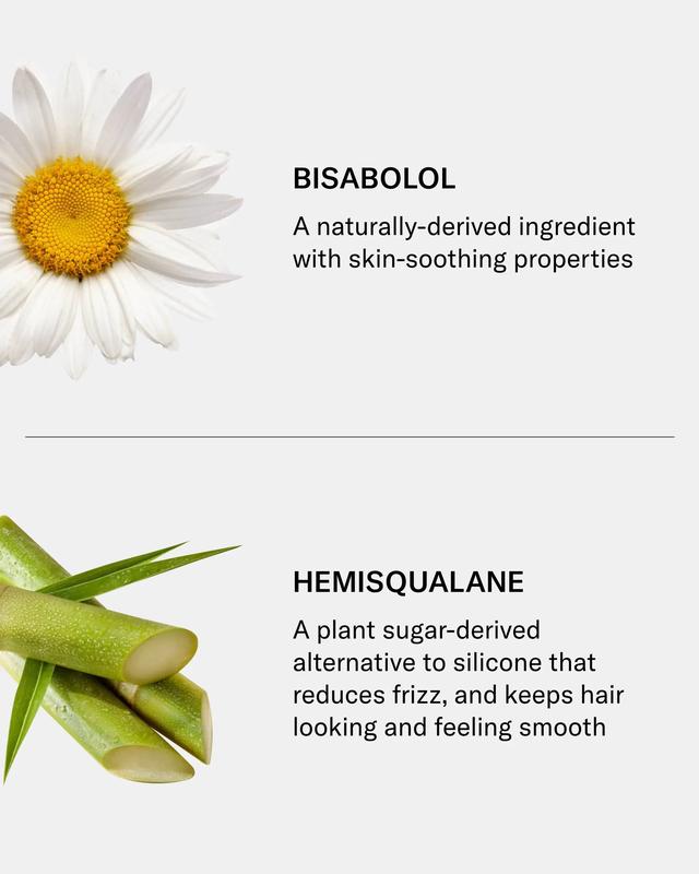 SEEN Shampoo Fragrance Free - Non Comedogenic, Sulfate-Free Gentle Cleansing for All Hair Types