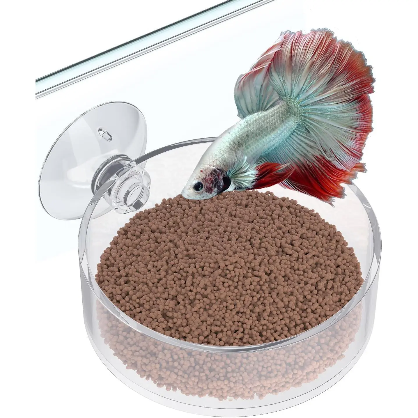 Shrimp Feeding Dish with Suction Cup, Clear  Aquarium Shrimp Feeder Dish, Fish Feeding Tray for Freshwater and Saltwater Tanks
