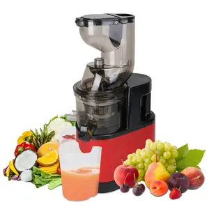 Cold Press Juicer Machine 300W Electric Slow Masticating Juicer for Whole Vegetable and Fruit with Reverse Function 2 Containers Cleaning Brush Clear Marks Easy Cleaning