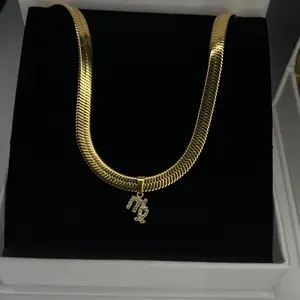 Icy Zodiac Necklace Birthday Daily