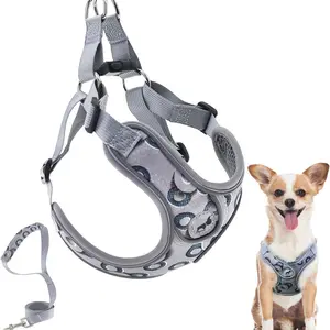 All Weather Soft, Reflective, No Pull Harnessand Leash Set  for Small Medium Dog ，with Breathable Padded Vest Harness for Small Dogs Running Durable Reflective Harness