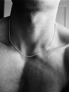 Men's Hip Hop Stainless Steel Round Snake Chain Necklace, Casual Style, All Seasons Wear, No Choking Hazard, Durable Jewelry Gift