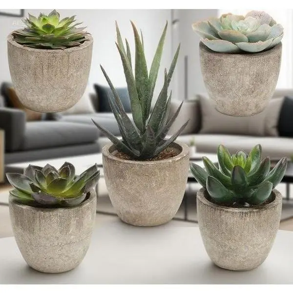 Decorative Faux Succulent Plants Set with Pots, Assorted Mini Fake Cactus for Home Decor, Set of 5, Realistic Looking Artificial Succulents, Low Maintenance Indoor Greenery