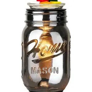 Pluggable Fragrance Warmer- Decorative Plug-in for Warming Scented Candle Wax Melts and Tarts or Essential Oils (Black)