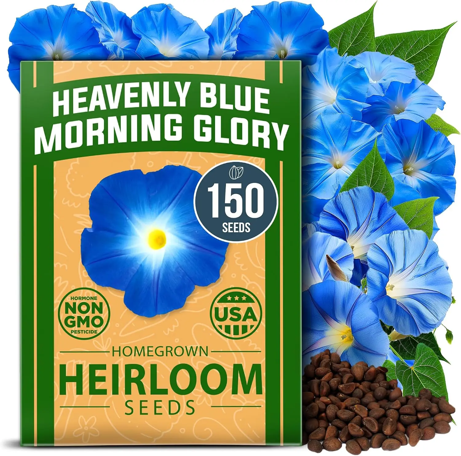 Morning Glory Seeds for Planting Indoors or Outdoors – Heirloom Flower Vine Seeds for Home Gardening, Fast Growing Climbing Plants, Pollinator Friendly Garden & Ornamental Fence, Trellis & Vertical Landscape Coverage