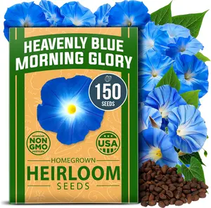 Morning Glory Seeds for Planting Indoors or Outdoors – Heirloom Flower Vine Seeds for Home Gardening, Fast Growing Climbing Plants, Pollinator Friendly Garden & Ornamental Fence, Trellis & Vertical Landscape Coverage