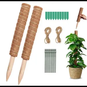 Stackable plant climbing moss pole (2 pieces)