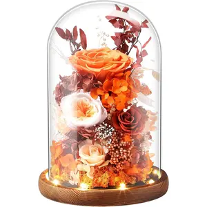 Eternal Rose Sunset Orange Flower Preserved Long Lasting  Color  Material Symbol of Everlasting Love for Wife Mothers Select Anniversary Rose