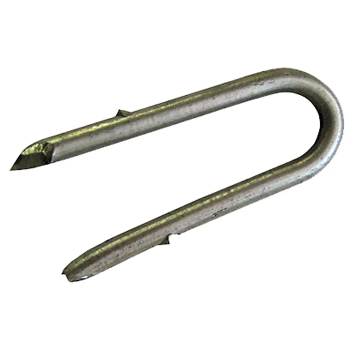Dare Products 1692 50 Pack 2 In. 9 Gauge Galvanized Staples