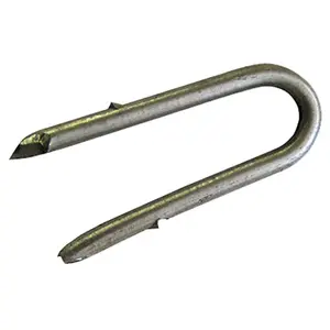 Dare Products 1692 50 Pack 2 In. 9 Gauge Galvanized Staples