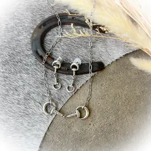 Western Horse Bit Necklace & Earrings Set