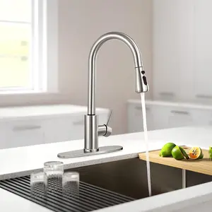 Kitchen Faucets with Pull Down Sprayer, Single Handle Kitchen Sink Faucet with Deck Plate, Brushed Nickel & SUS304 Stainless Steel, Commercial Modern rv Kitchen Faucets for Bar, Laundry, Utility Sink