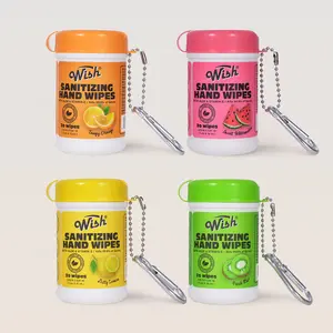 Wish Portable Sanitizing Hand Wipes, 4-Scent Fruity Fresh Variety Pack, Travel-Size 4-Pack (20ct Each)