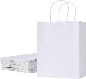 White Kraft Paper Gift Bags with Handles, 25 Pack, Medium 8x4.5x10 Inches, Sturdy Recyclable Shopping Bags for Party Favors, Retail, Weddings, and DIY Branding