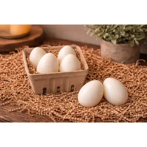 Paint Your Own Egg Kit | DIY Easter Activity | Handmade Soap Eggs Gift Set