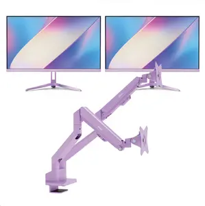 PX246 Wave Purple Monitor + Dual Monitor Arm Bundle